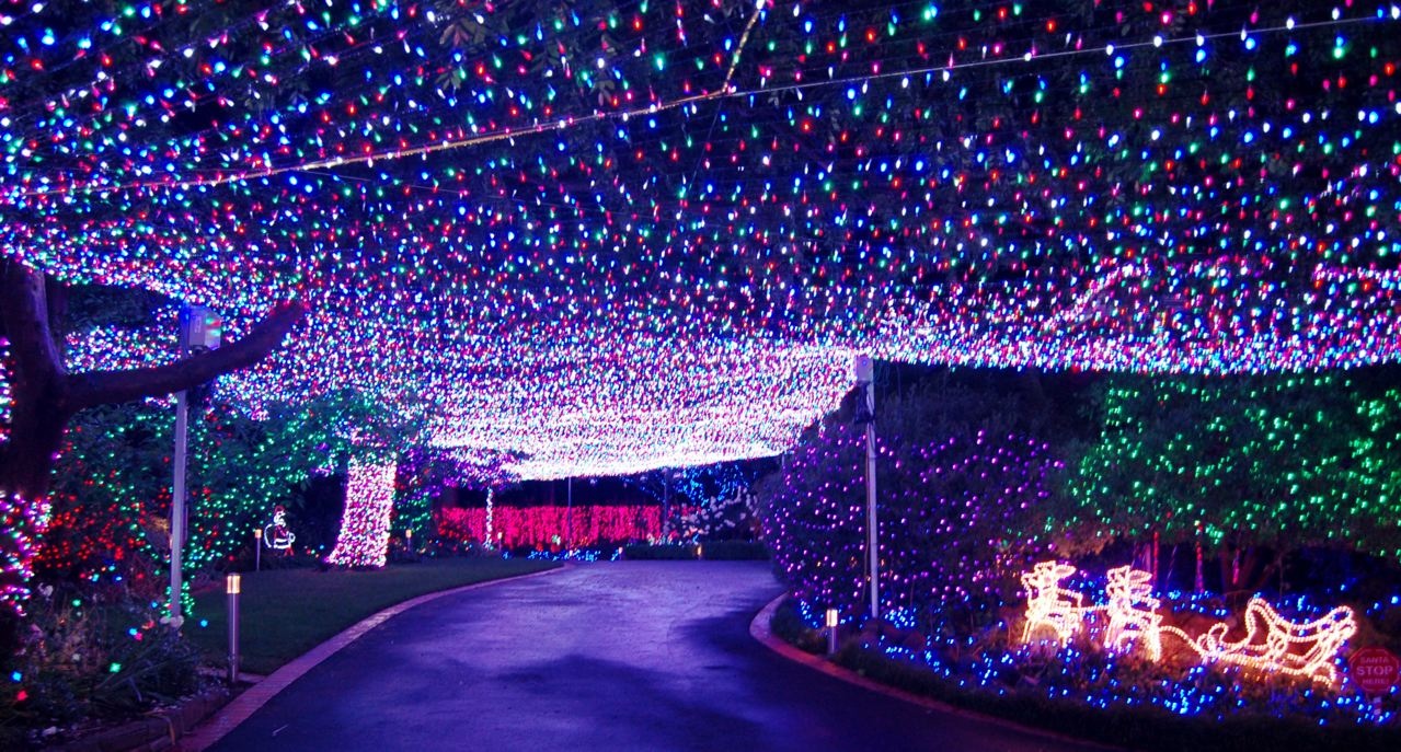 led裝飾彩燈